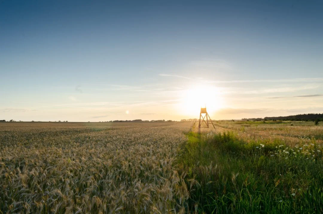 Kansas-1080x715.jpg