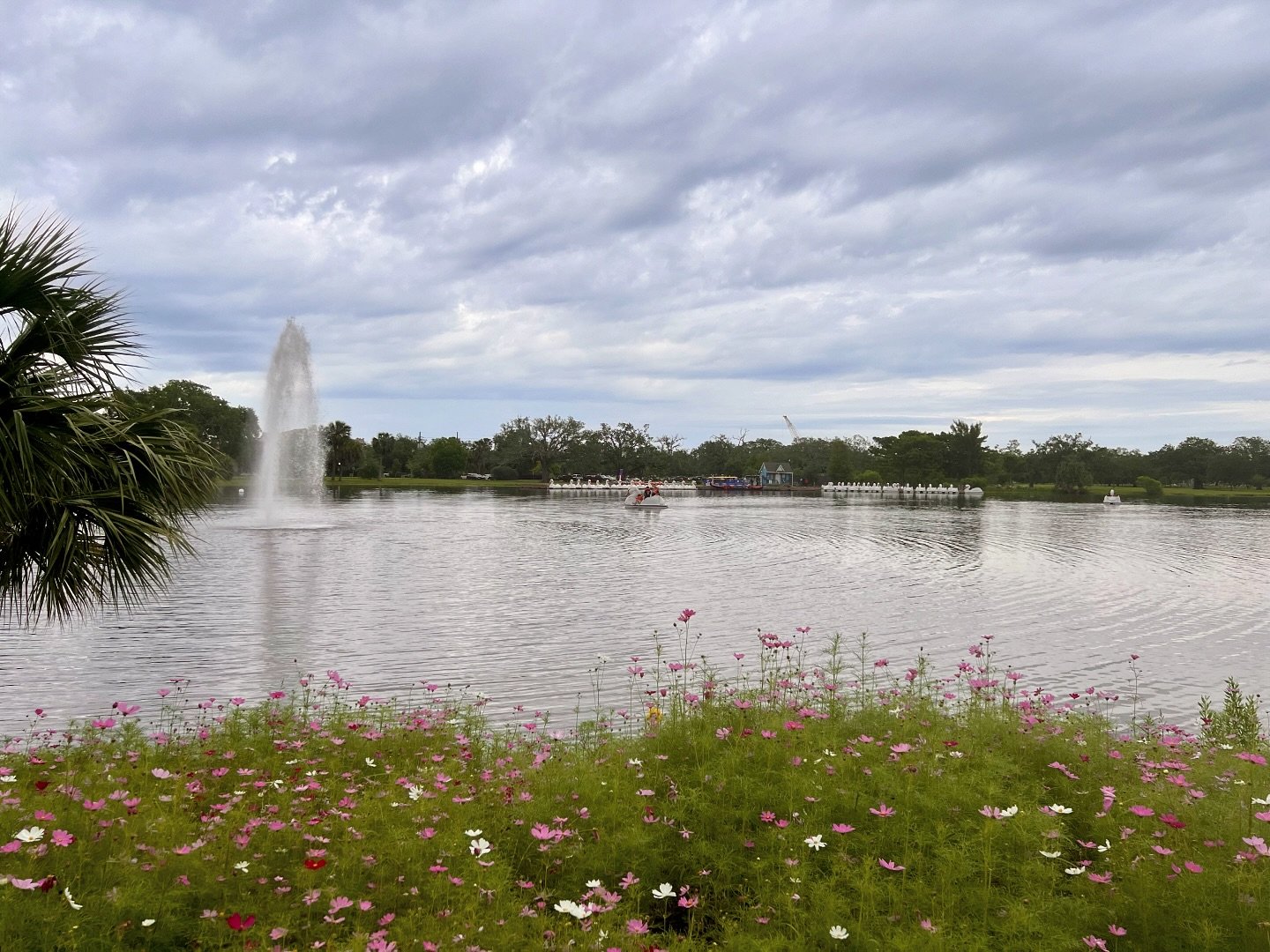 Big Lake at #neworleanscitypark is located just across from the New Orleans Museum of Art. It offers a lovely walking trail, easy access to art installations, as well as Surrey Bikes and Swan Boats. City Park and Cafe du Monde, located here as well, 