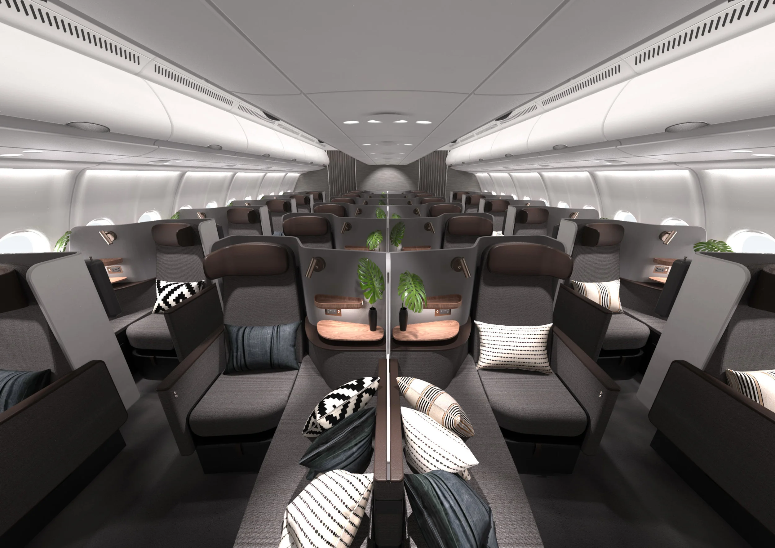 A330 Cabin with Butterfly J (Front Straight View).jpg