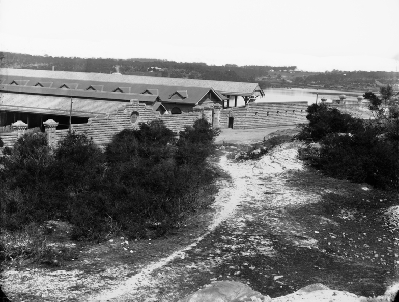 Glebe Island Abattoirs, 1870s