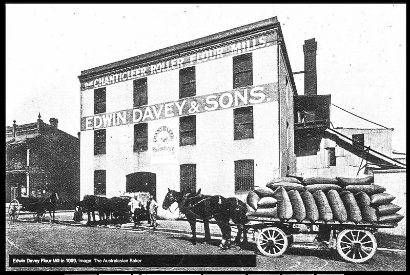 Edwin Davey Flour Mill in 1909