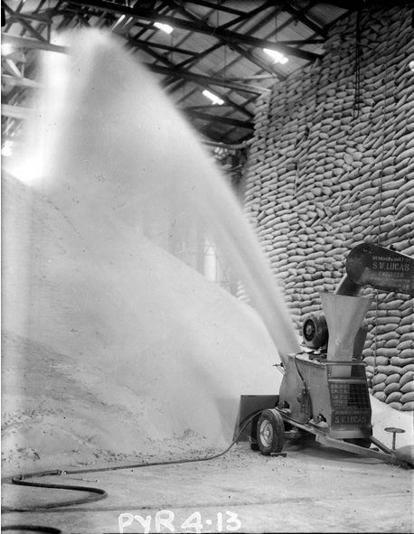 Raw sugar store, sugar thrower, circa 1960