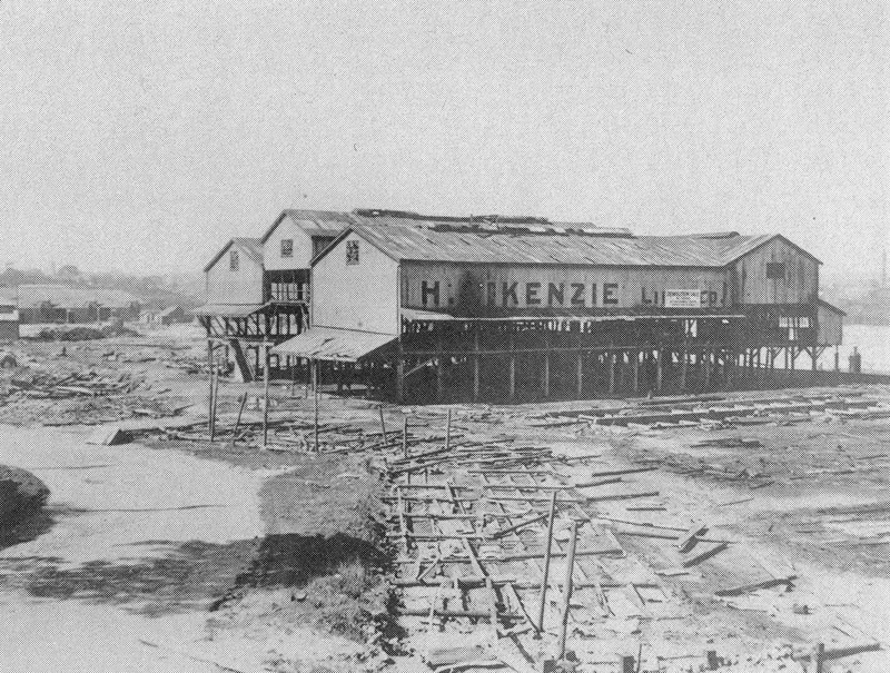 McKenzie sawmill Blackwattle Bay 1899