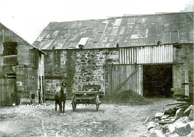 Stables, Pyrmont St & Marion Lane 1903