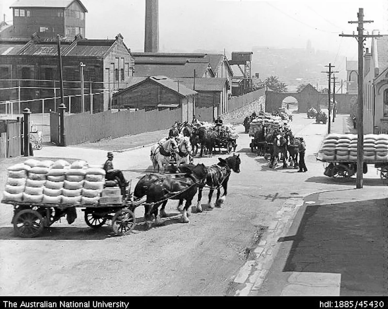 Horse-drawn carts at the corner of Jones and John Streets 1920s