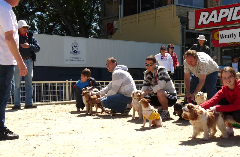 Wentworth Park Games - Get set