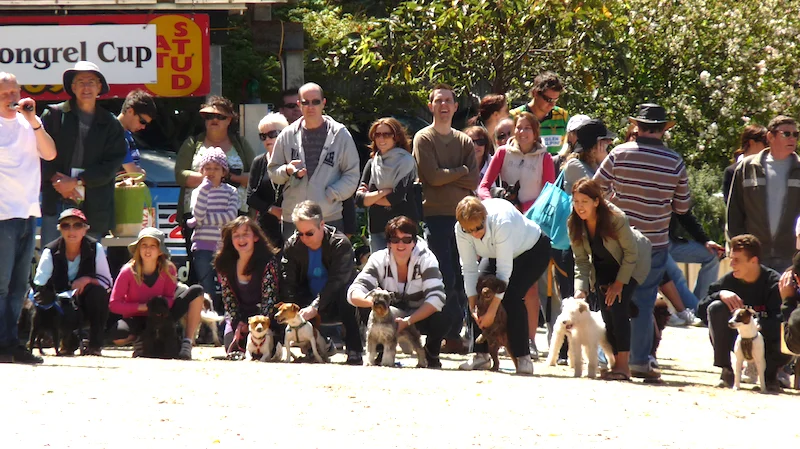 Wentworth Park Games - On Your Mark