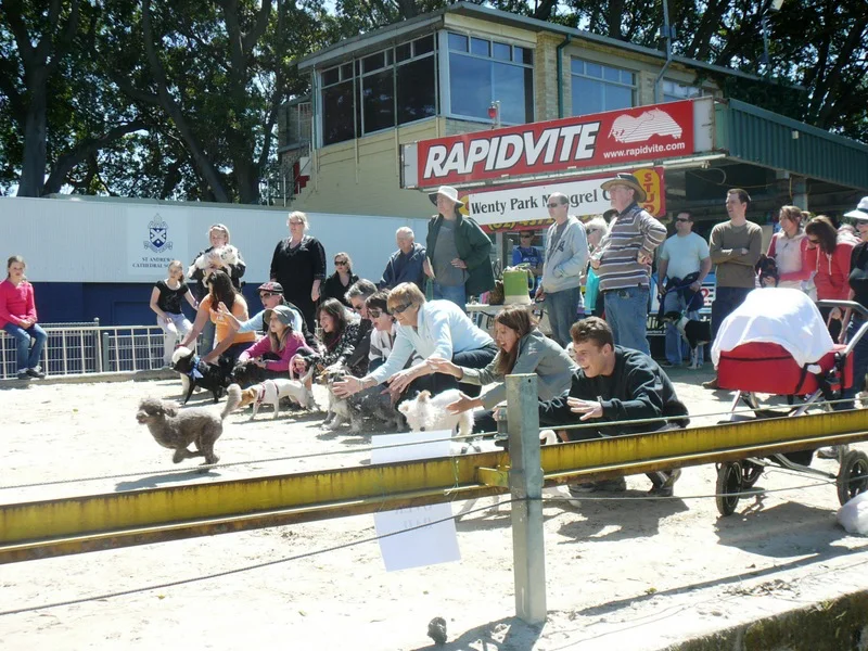 Wentworth Park Games - Go!