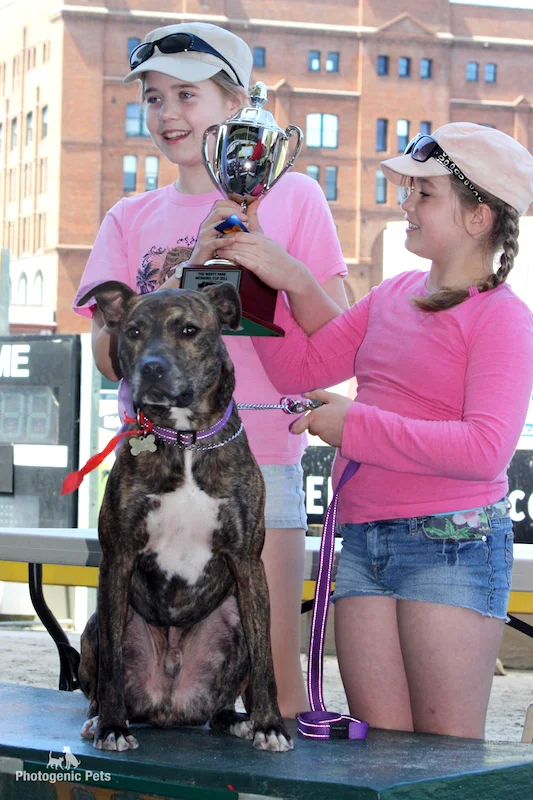 Wentworth Park Games - The Winner