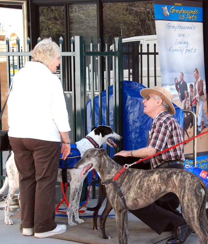Greyhounds as Pets