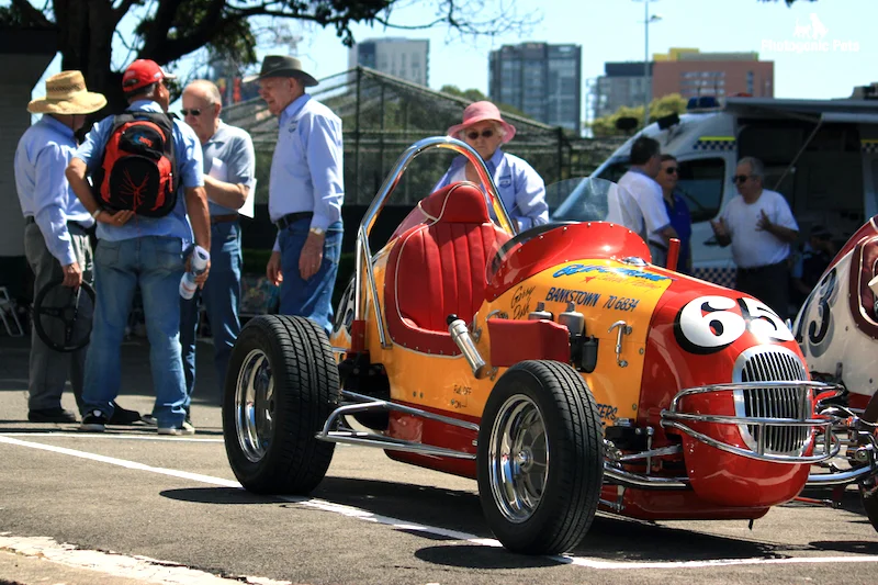 Midget racing car