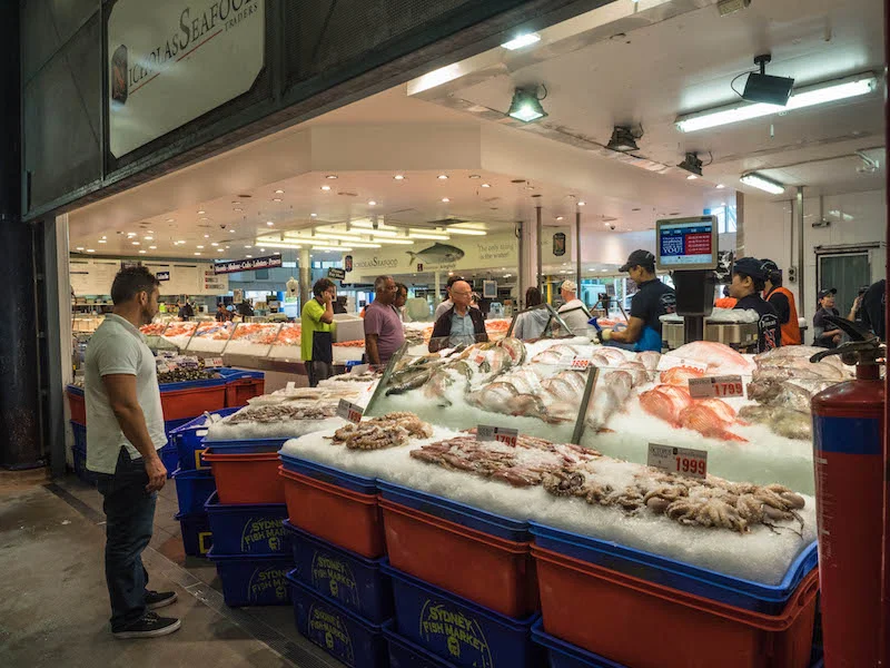 Fish Market 2017
