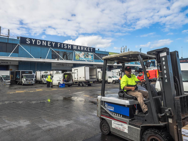 Fish Market 2017