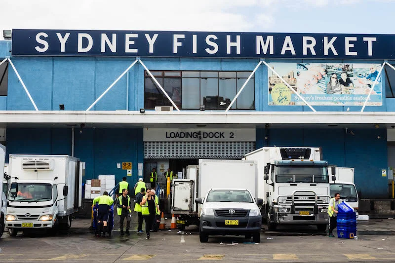 Fish Market