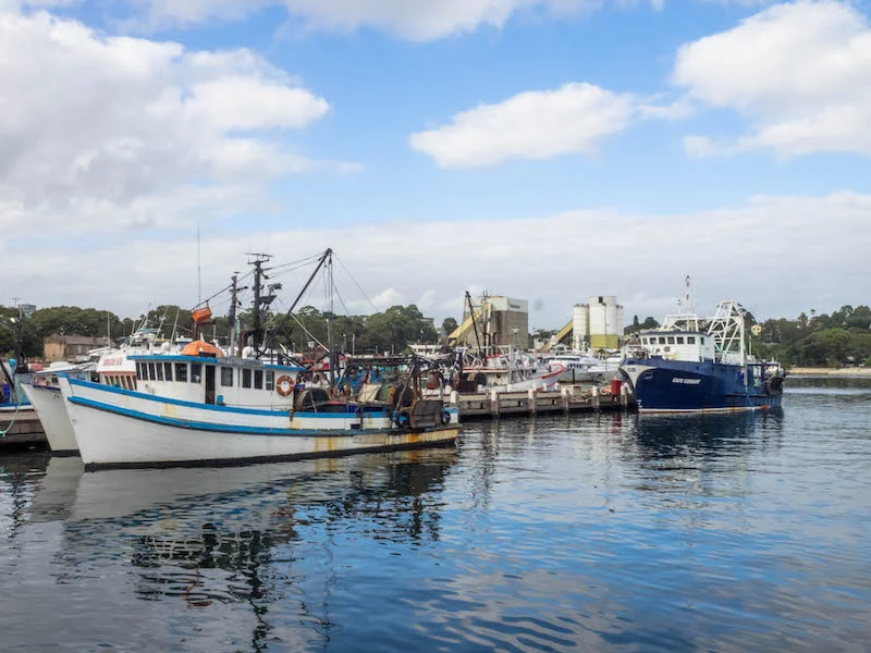 Fishing fleet 2017