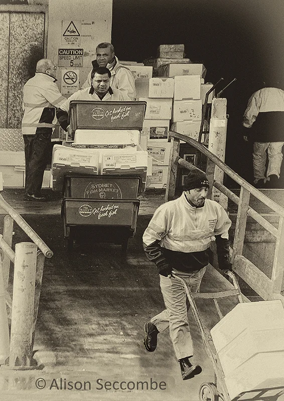 Sydney Fish Market 2015
