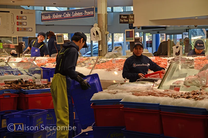 The Retail Sector 2015