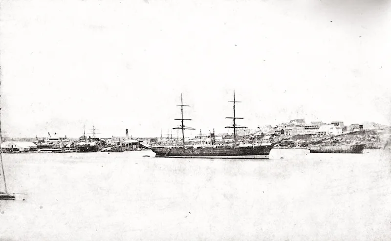 Pyrmont Point 1870s