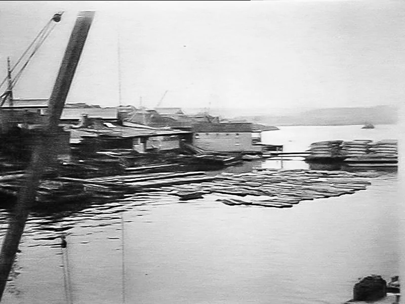 Timber yards
