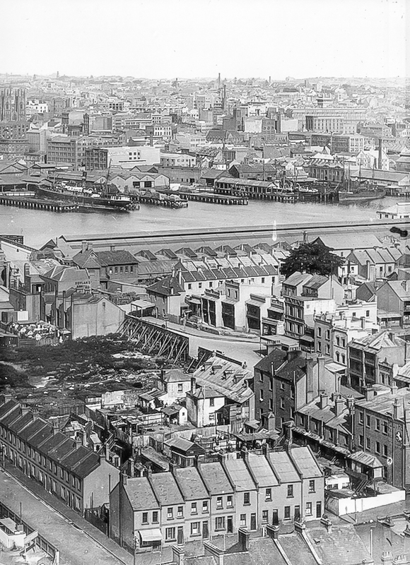 View to Sydney from Pyrmont 1905, Collis