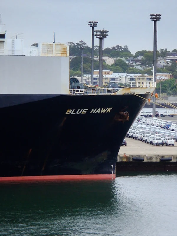 Blue Hawk farewell – November 2008