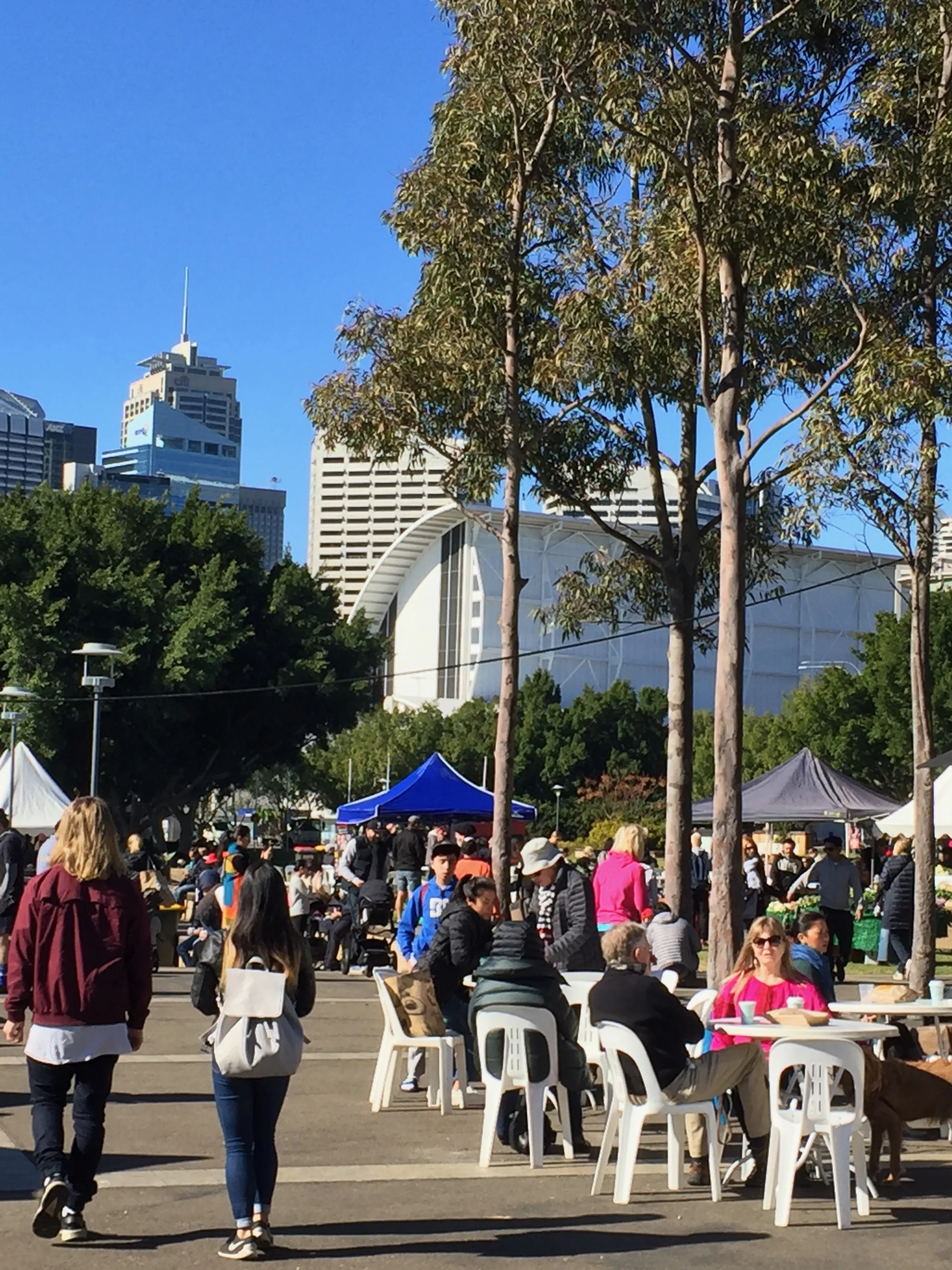 Pyrmont Growers’ Market, 2017