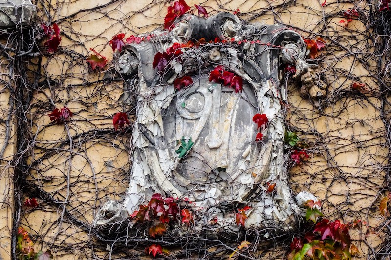 Condemned Pub, Ming Wang,  2016