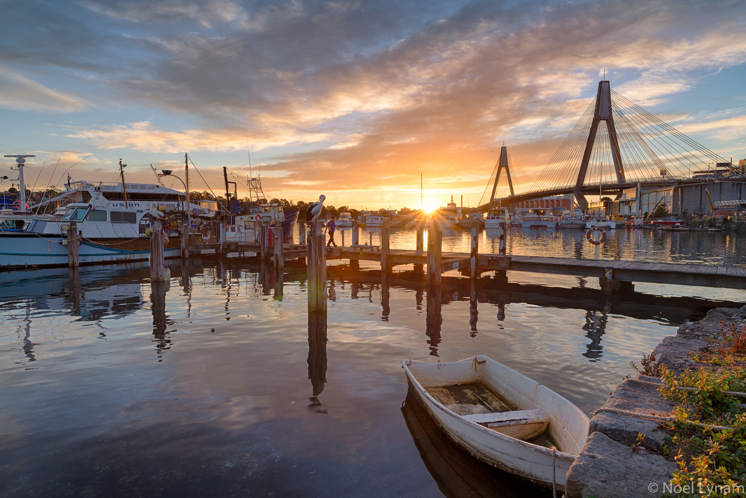 Sydney Fish Market