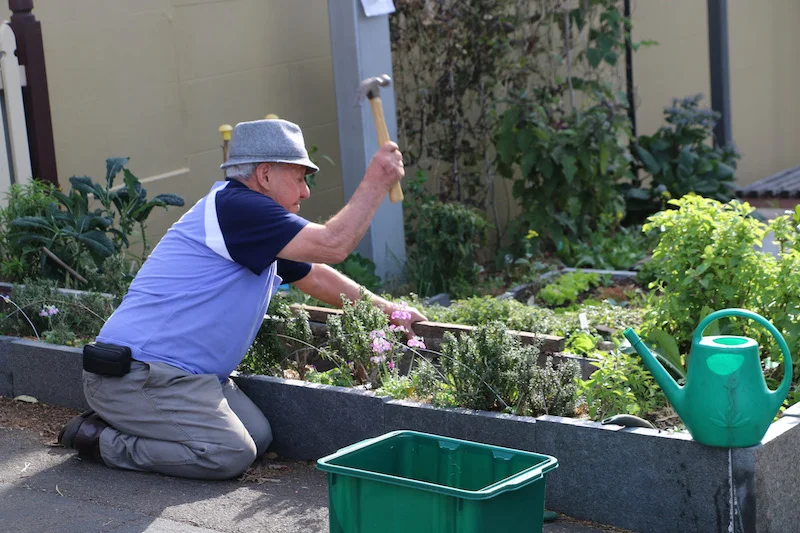 Guy in the garden 2014