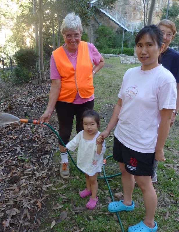 Landcare in Carmichael Park