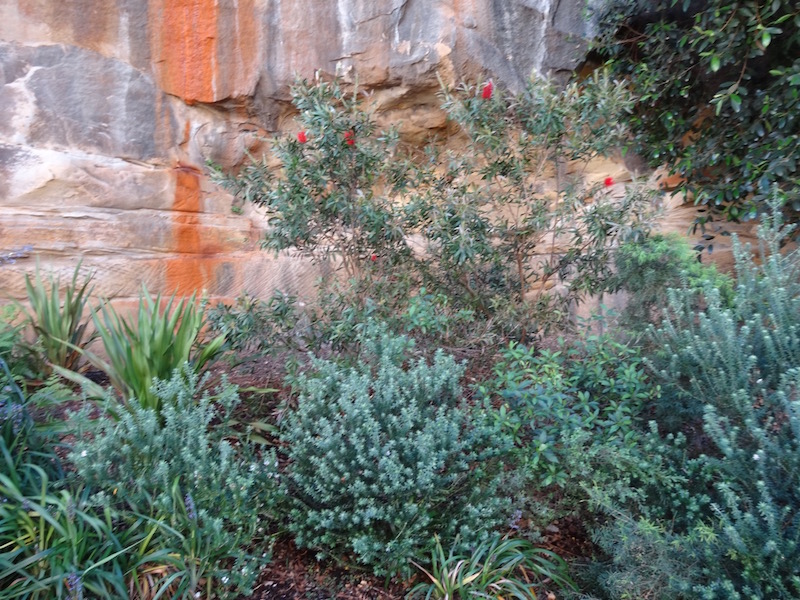 Jones Street Pocket Park 2013