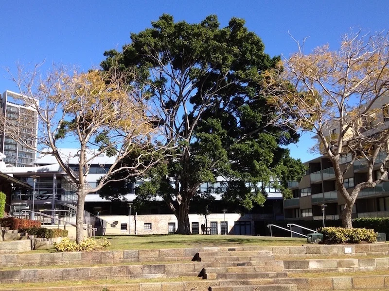 Refinery Square 2012