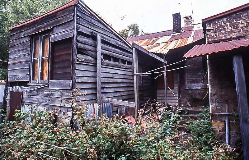Scott St backyard, 1980s