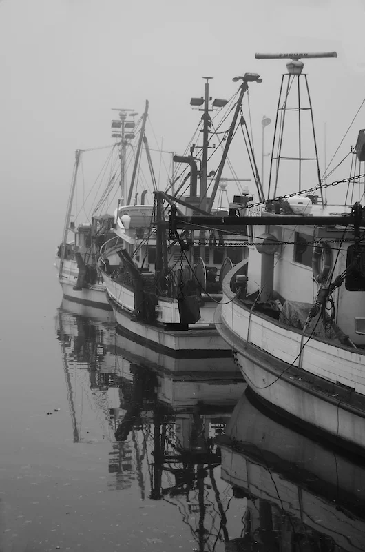 Fishing Fleet, Alison Seccombe 2013
