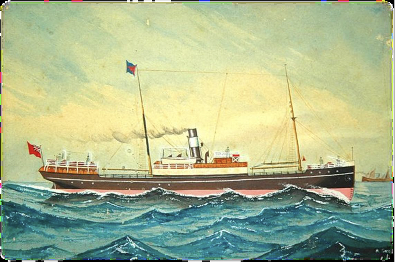 SS New Fiona. Watercolour by A. Green 1894
