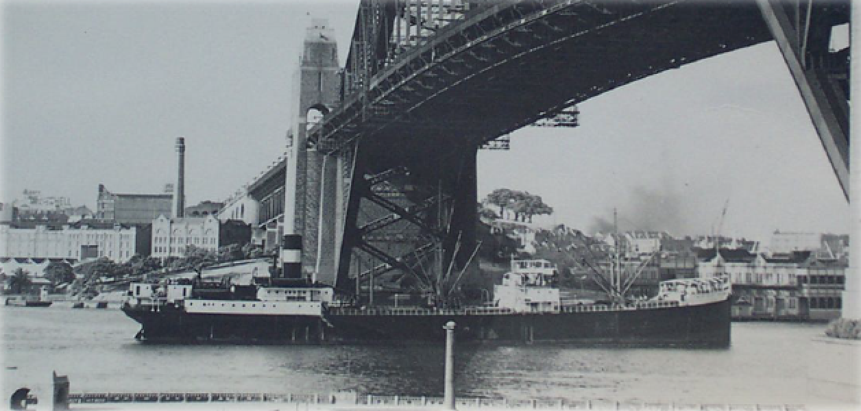 SS Rona (1) 1950s, steaming towards Pyrmont