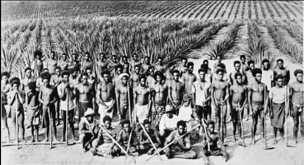 South Sea Islander labourers on a Queensland sugar plantation, 1890s