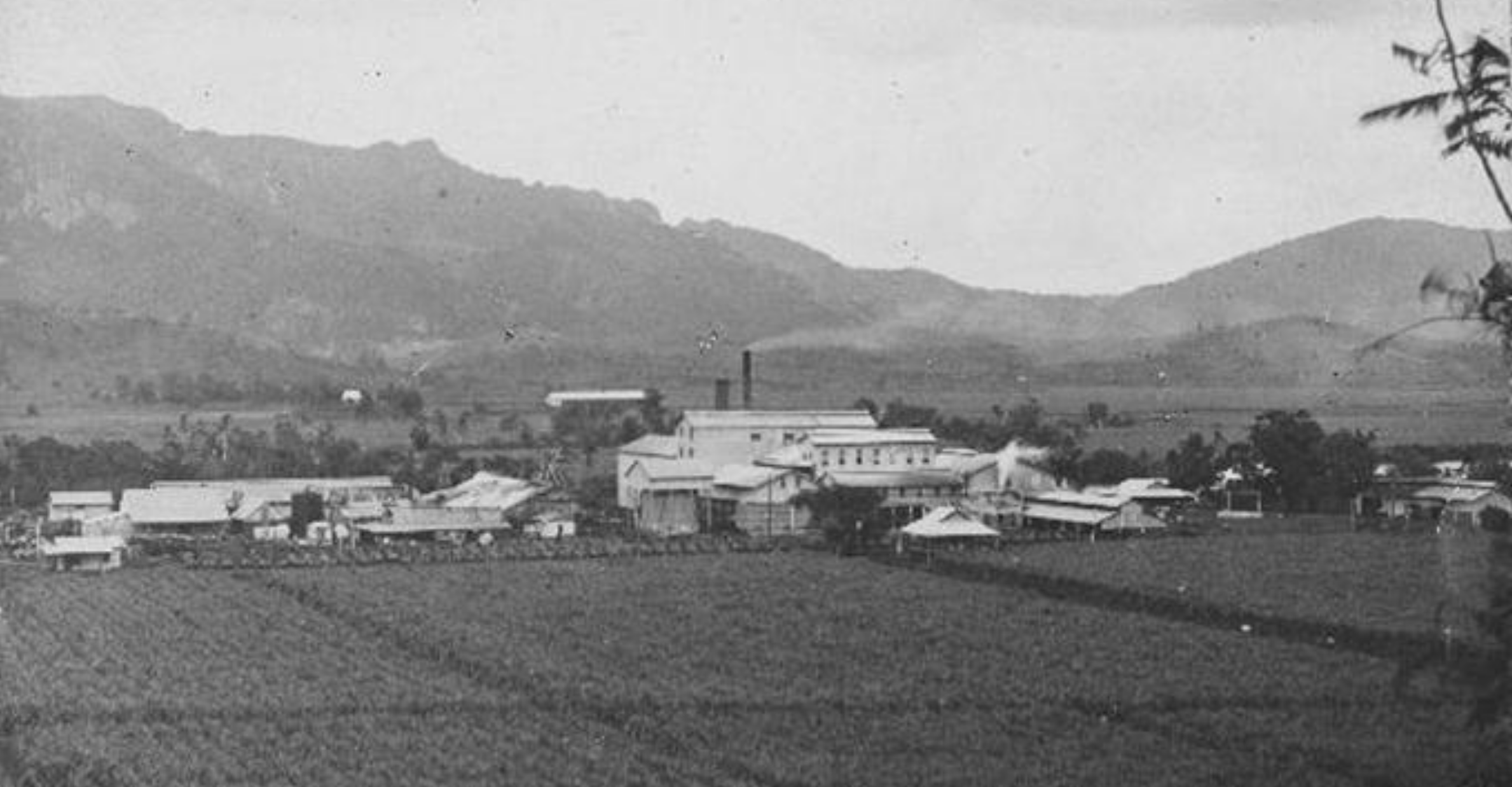 Labasa Mill, 1924 - the only CSR mill located on the island of Vanua Levu, opened in 1893