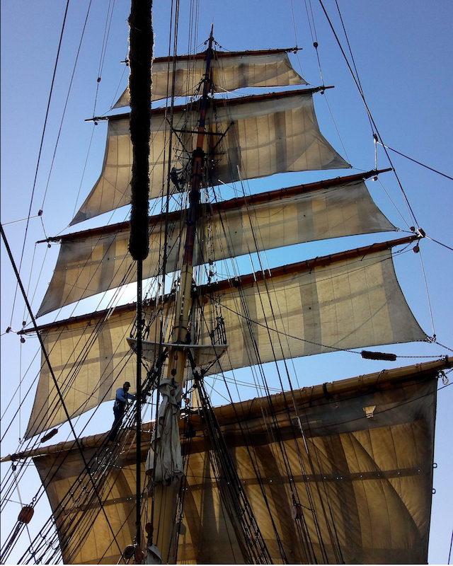 With sails set off Sydney Heads in July 2019