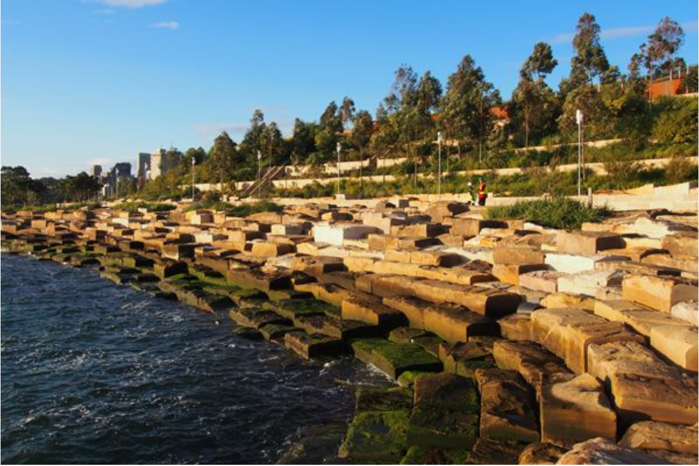 Barangaroo foreshore - sandstone retrieved from the harbour