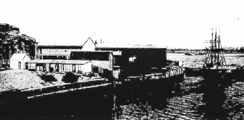 Messrs G. Augenson and Company's Timber Yard and Wharf at Pyrmont, 1900