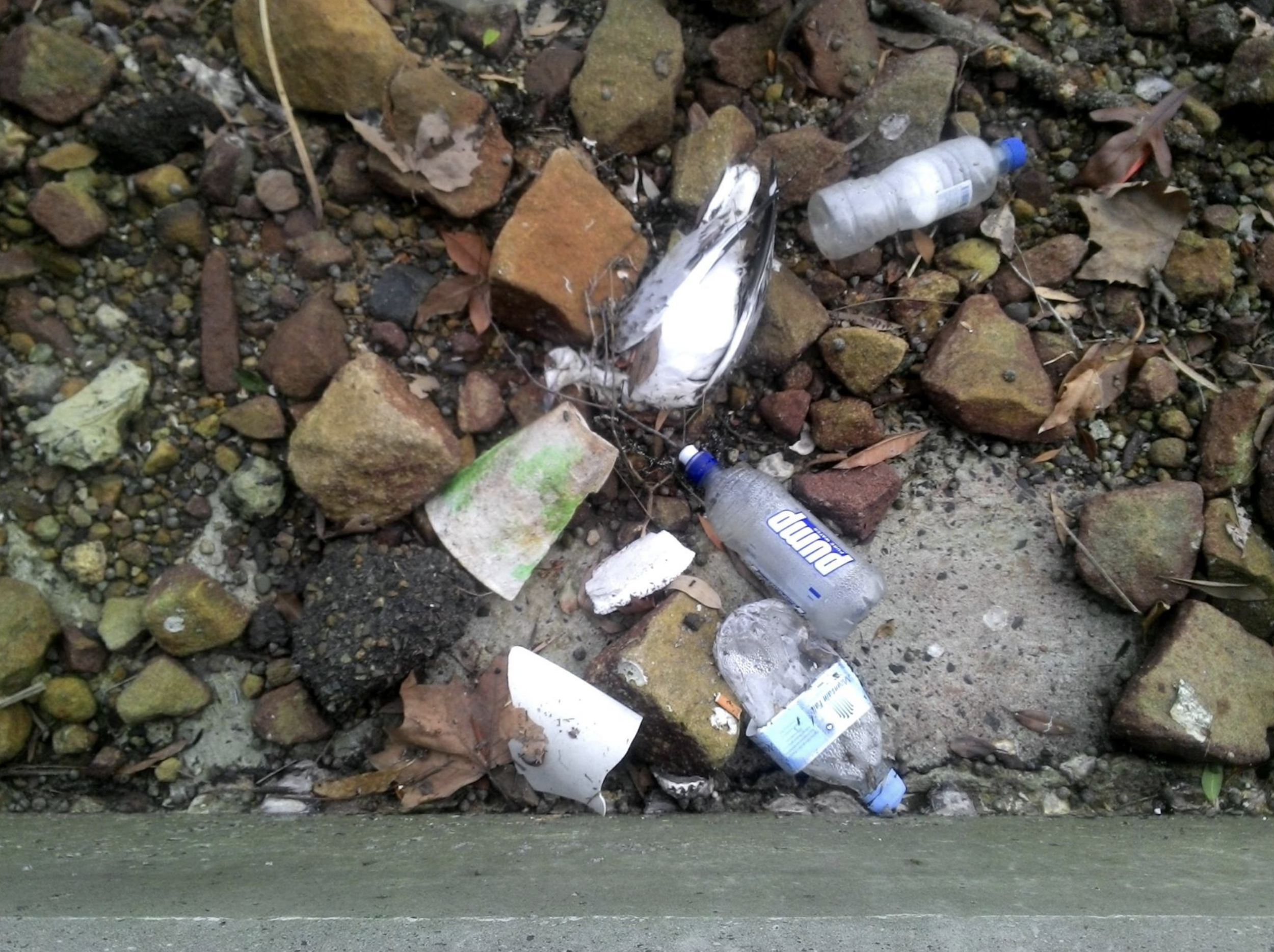 Plastic pollution