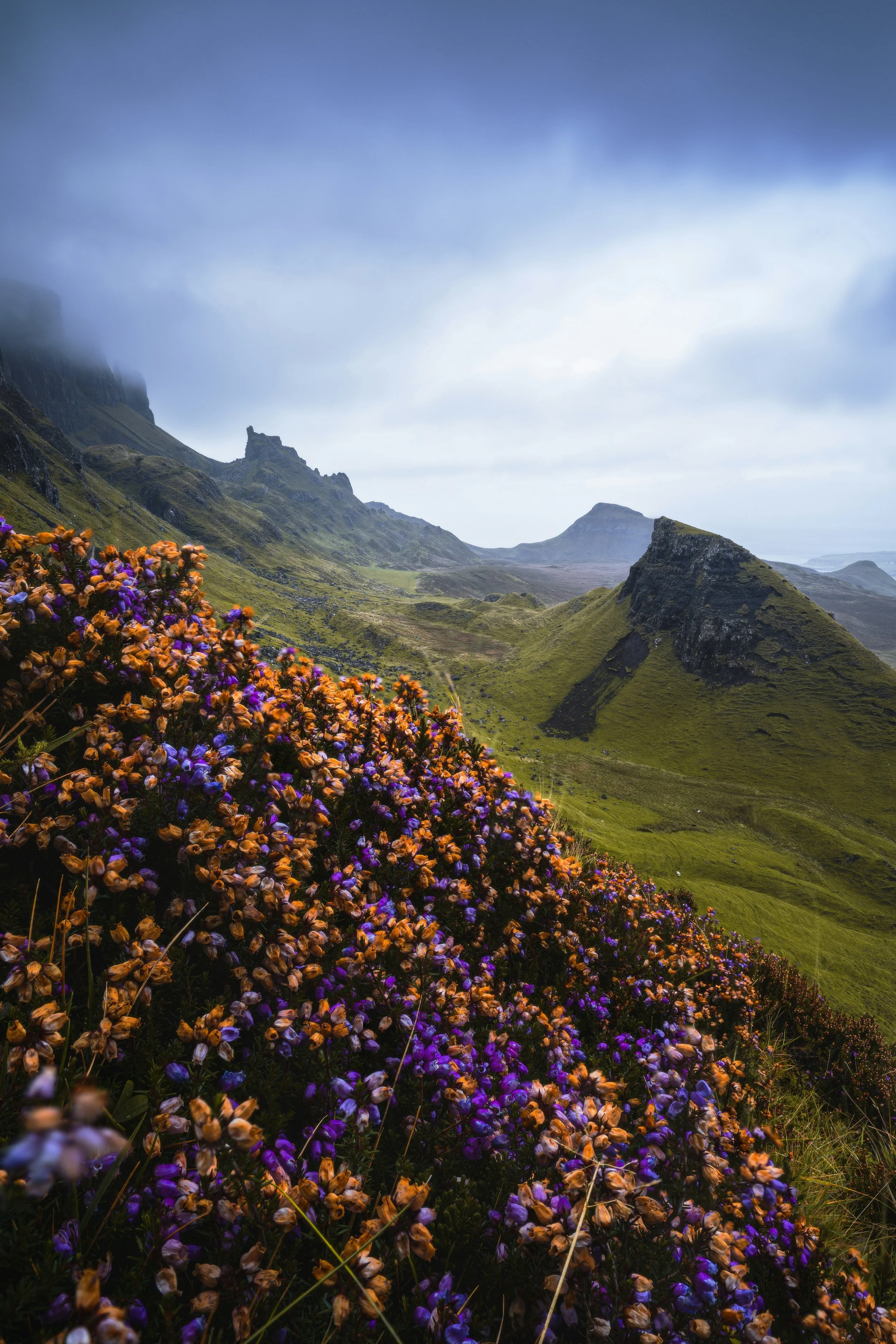 January 2026 Newsletter