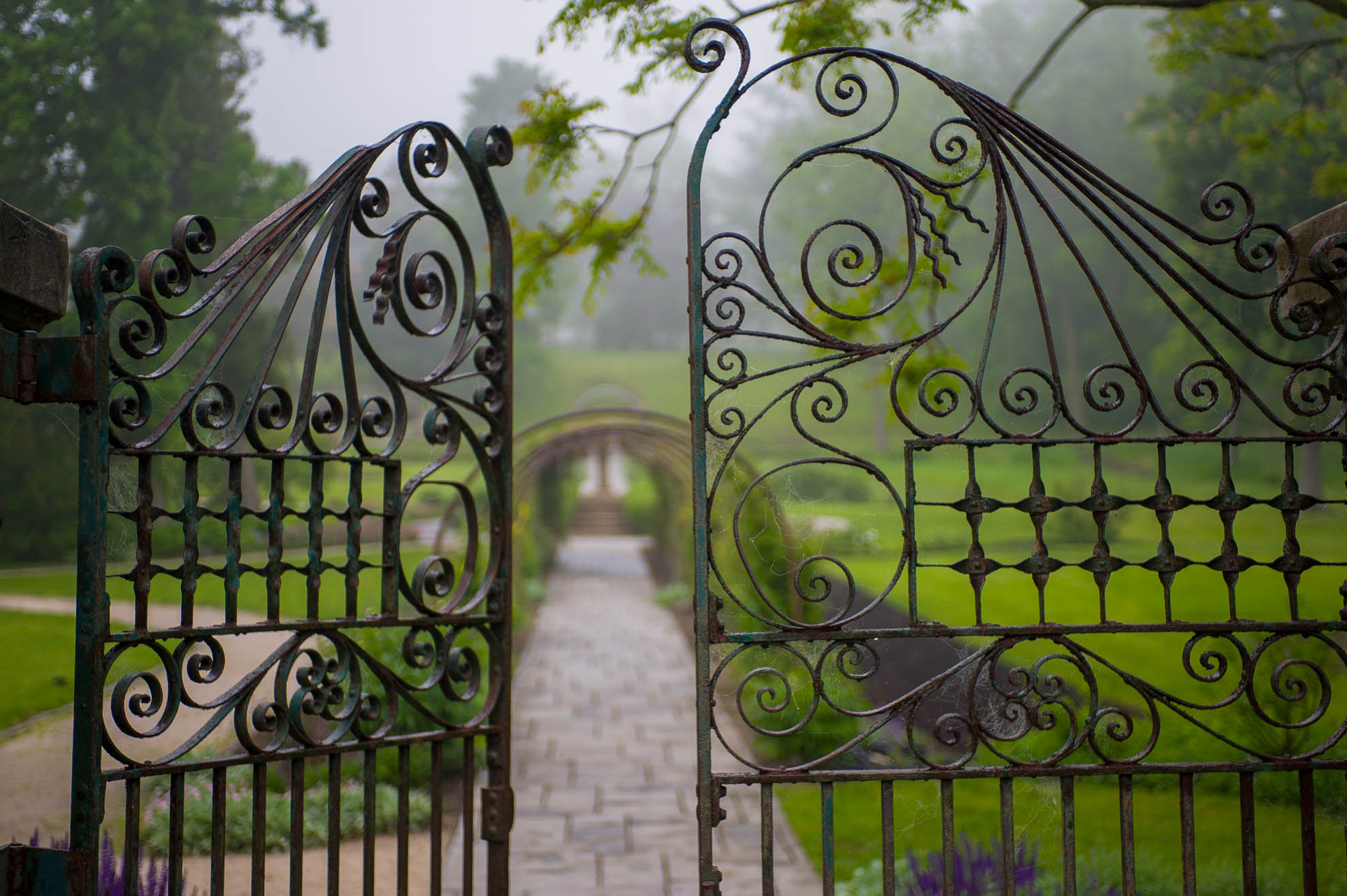 Marian Kraus Photography-5893.jpg
