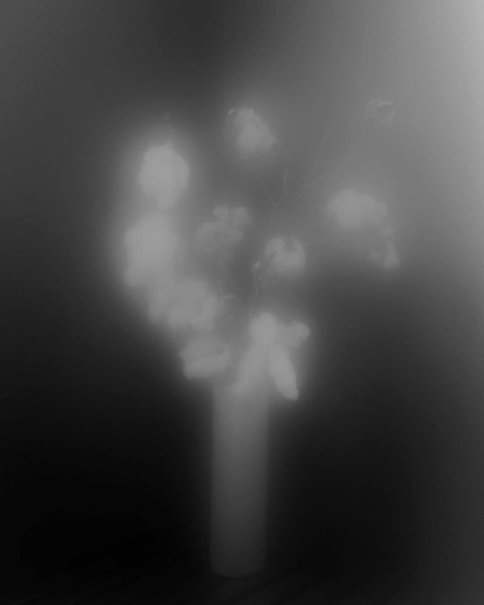 Sarker Protick_Selected Works_00007.jpg