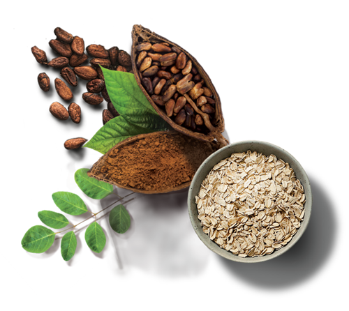 oats-cocoa-moringa.png