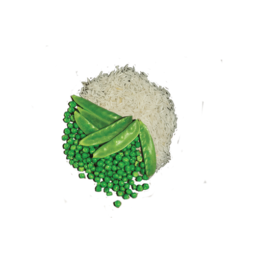 rice-pea.png