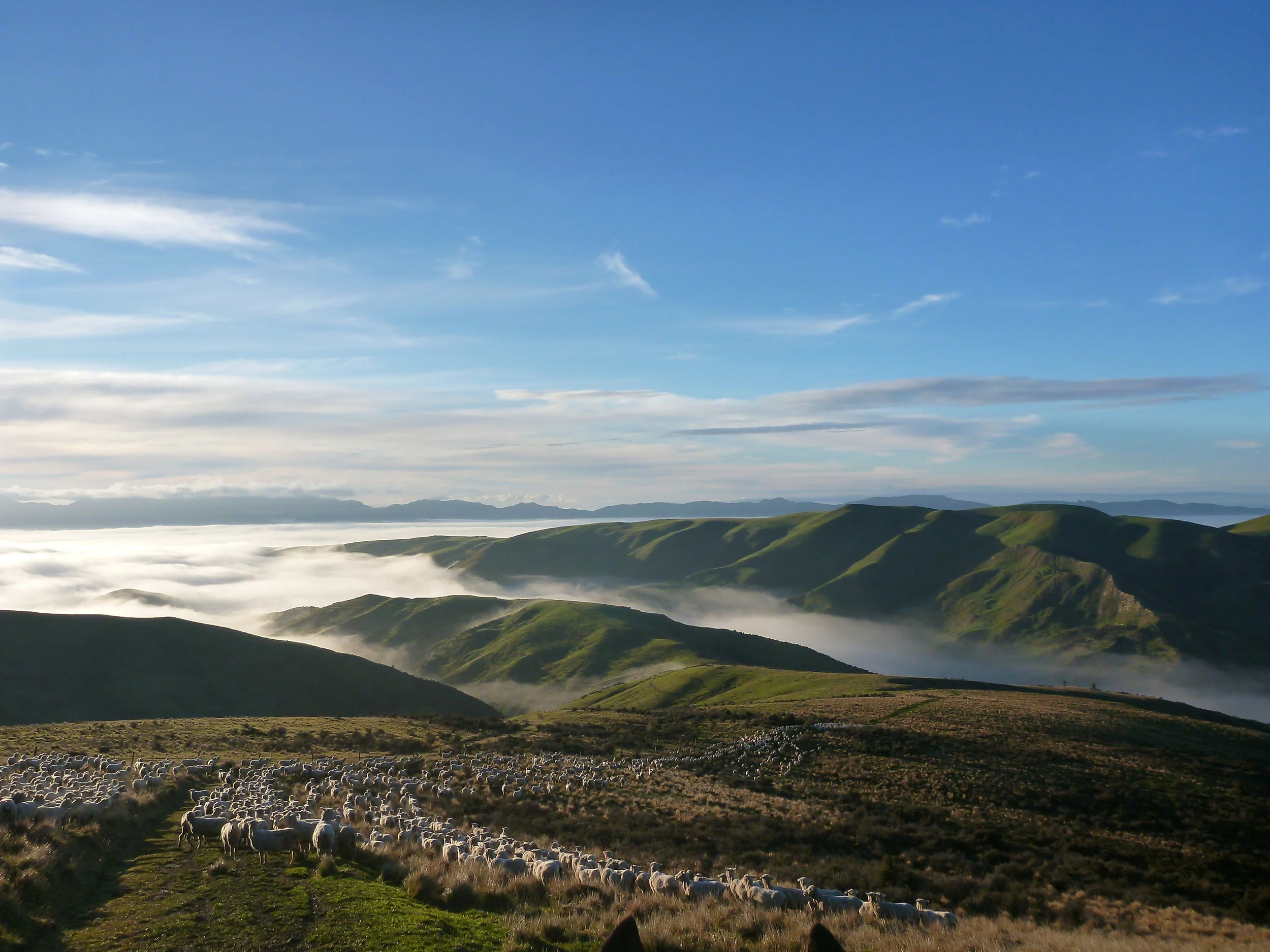 Scene Pic - CW Ad.JPG