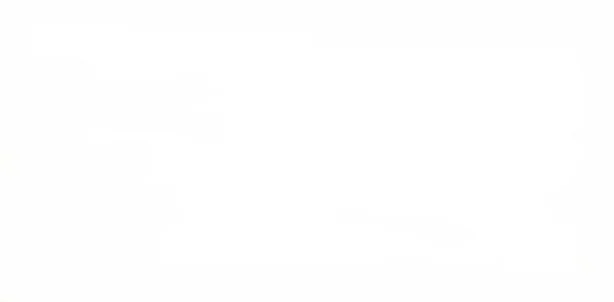 blank.jpeg