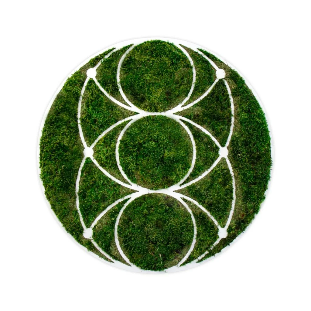 The Pisces Eye Trinity is a symbol of harmonic proportions and a source of strength and power.